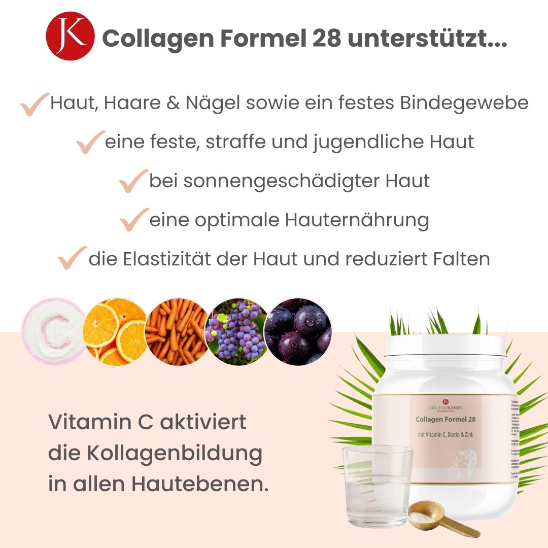 Collagen Formel 28