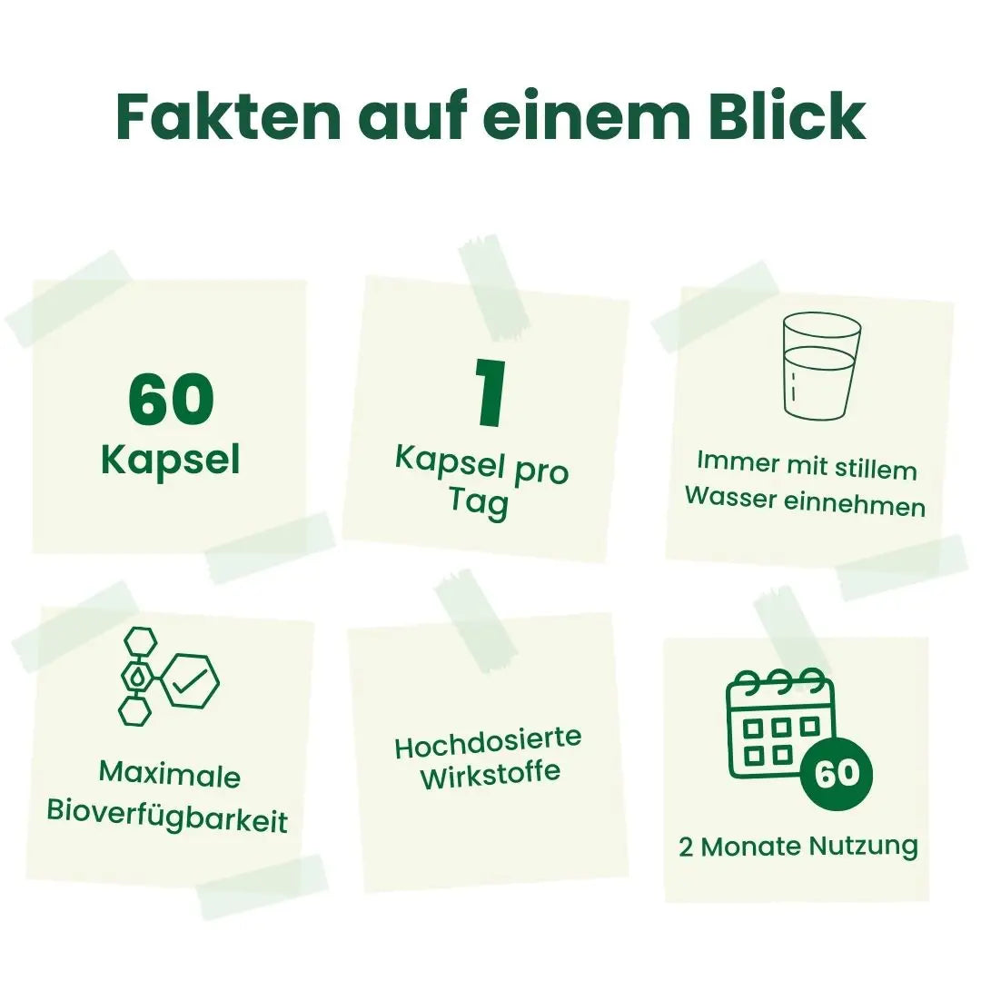 Blase PAC40