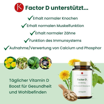 Factor D - 90 Kapseln