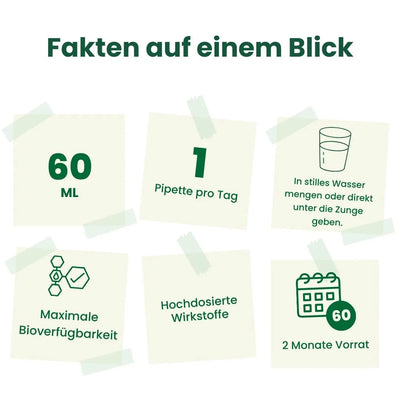 Basica Direct