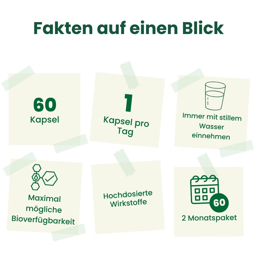 Factor D - 90 Kapseln