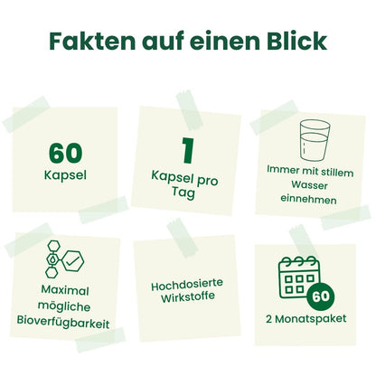 Factor D - 90 Kapseln