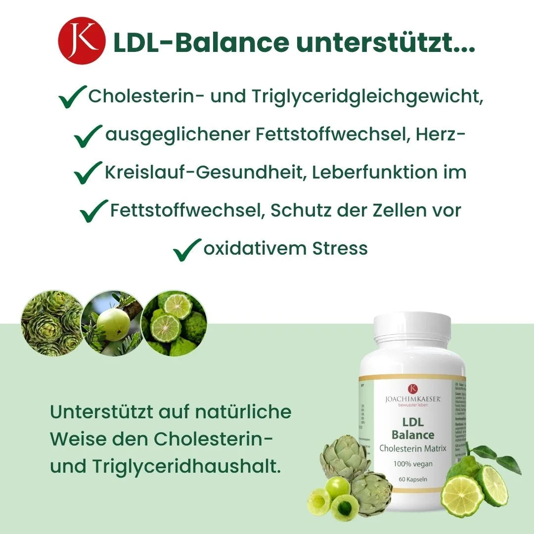 LDL Balance Cholesterin Matrix