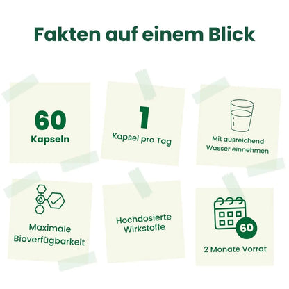 Mitochondrien-Booster