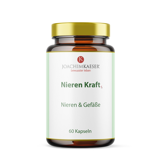 Nieren Kraft - 60 Kapseln