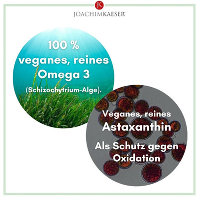 Omega 3 1000 mit Astaxanthin