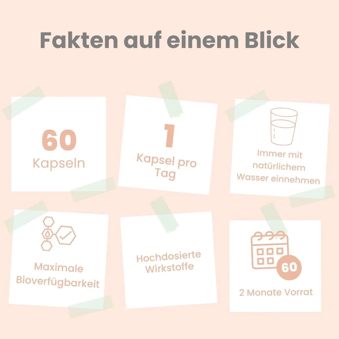 Silicio 4