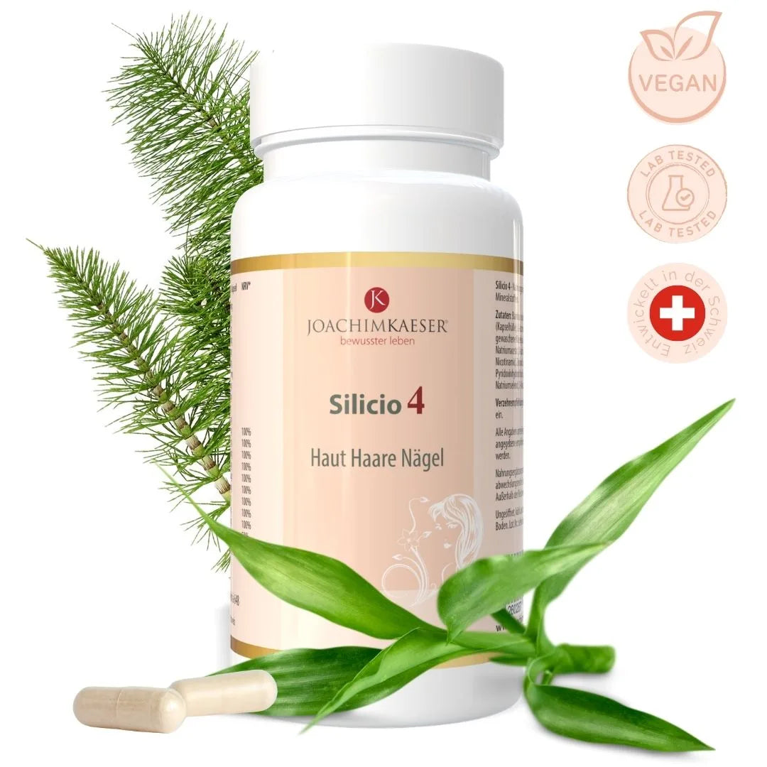 Silicio 4