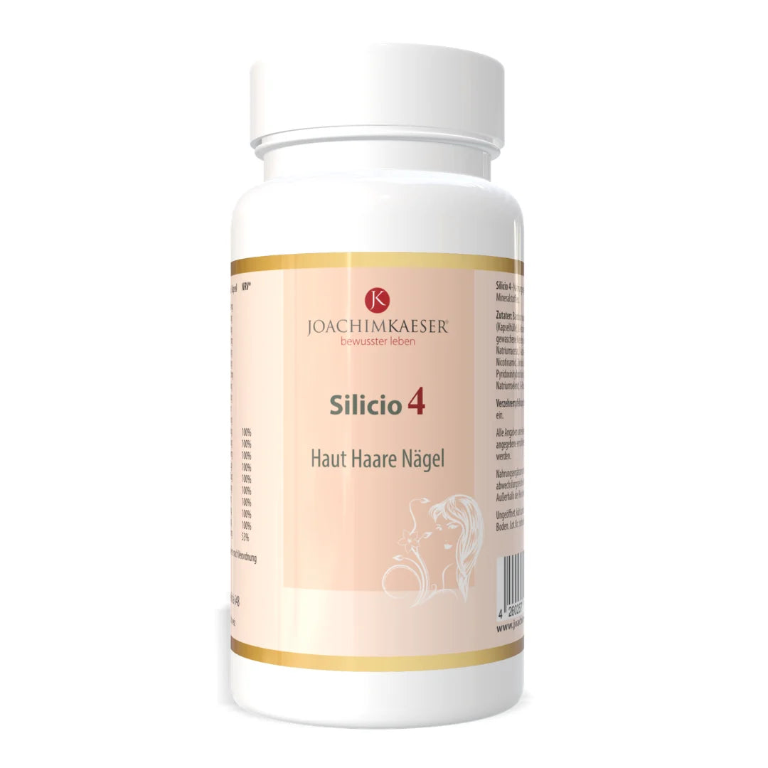 Silicio 4