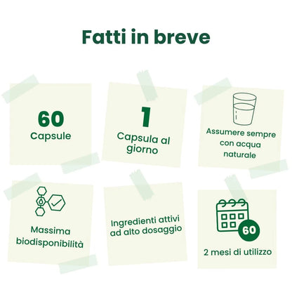 Stoffwechselkontrolle